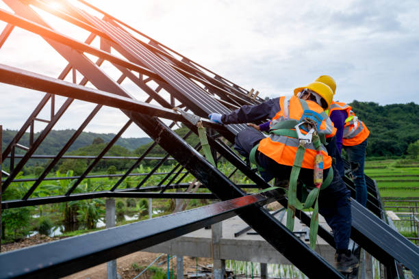 Best Roof Gutter Cleaning  in Northview, MI