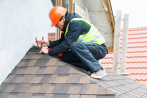 Best Gutter Installation and Roofing  in Northview, MI